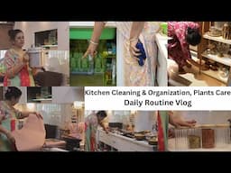 My Productive Days , किया ढेर सारा काम ,Kitchen Cleaning, Decluttering & organization , Indoor Plant