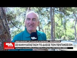 Σε κακή κατάσταση το δάσος των Πεντακοσίων