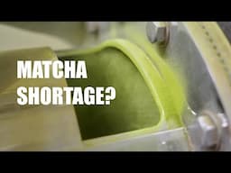 Does Japan Really have a Matcha Shortage?
