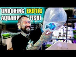 THESE FREAKY EXOTIC FISH ARE WELL LOVELY! Pauls Aquariums Unboxing