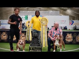 THE VALIDATION GLOBAL CANINE REGISTRY SHOW DOCUMENTARY: BULLY TALK WITH ZEB PITS