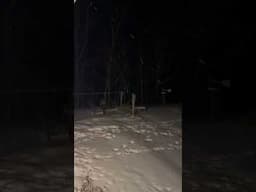 Inspired by a Minnesota winter's night moment