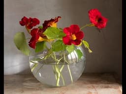 Intense Red challenge: Can you paint these Nasturtiums? - Live Oil Painting demonstration