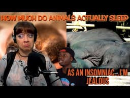 *Greater insomniacs than me!* Why You Wish You Could Sleep like a Platypus (& not an elephant)