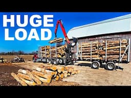MASSIVE RED OAK LOG LOAD DELIVERED!