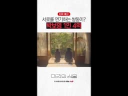 1인 4역!? 박보영의 美친 연기 차력쇼🔥 #미지의서울
