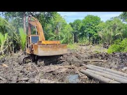 PART 12 EXCAVATOR SUMITOMO S2801 CUCI HUTAN PAYA NIPAH
