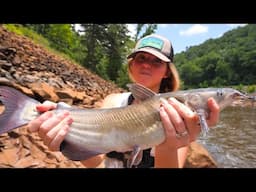 BOBBER FISHING for TONS of CATFISH with *RARE* Live Bait! -- We've NEVER SEEN This Many! (INSANE)
