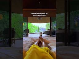 First Look: Mandai Rainforest Resort