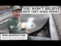 Aquaponics Farm Thrives 10 Years Without Selling Veggies – Full Tour