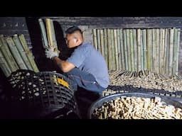 The process of making bamboo charcoal. Impressive Taiwanese bamboo charcoal factory. 竹炭製作過程,台灣竹炭工廠