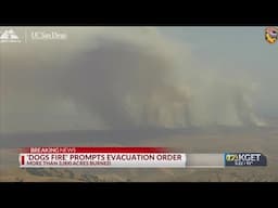 'Dogs Fire' prompts evacuation order