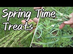 Spring Time Treats: Asparagus and Garlic Scapes