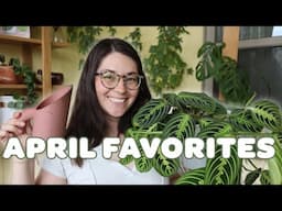 APRIL HOUSEPLANT FAVORITES! | happy fussy plants, self-watering pots, and repotting essentials! 💦🪴