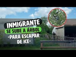 ¡Inmigrante Se Sube a Un Árbol Para ESCAPAR de ICE!