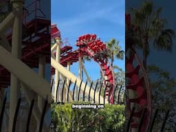 Rip Ride Rockit is Closing EARLY! #universalstudios  #themepark #shorts