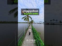 Discover Mini Kuttanad in Kodungallur - Poyya, Blue Lagoon Floating Reataurant