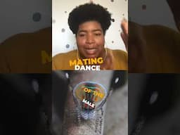 @dulcesloan05 knows a mating dance when she sees one. #naturepbs #spider #wildlife #animalshorts