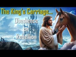 Training to become a Draft Horse for the King’s Carriage ❤️ Obedience or Rebellion