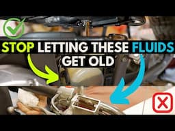 Full Motorcycle Fluid Change : Kawasaki VN900