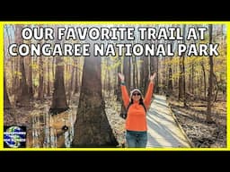 Our Favorite Trail at Congaree National Park: Weston Lake Loop Trail