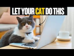 You’re Stopping This, It Actually Makes Your Cat Happy and healthy