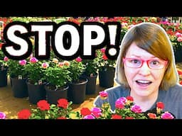 STOP Overpaying! 3 Ways to Save Money on Rose Bushes 💰🌹＄