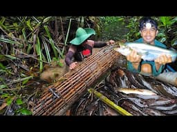 PANEN BERBURU PERANGKAP SAAT MUSIM SURUT DI RAWA & BERMALAM DI RAKIT MENCARI IKAN SUNGAI YANG BESAR