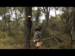 Fire. With A Knife, Stone and Fungi. Australian Bush Skills.