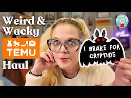 I Tried Temu's Wacky Plus Size & Home Decor Here's What Happened!