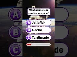 What animal can survive in space? #quiz