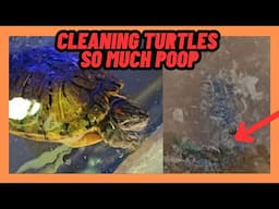 CLEANING THE TURTLE FILTERS!! SO MUCH POOP!!