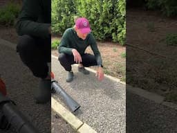 The trick that I find the most helpful in keeping weeds from your gravel areas!