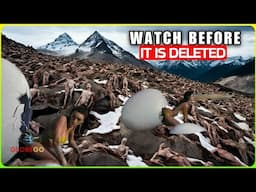 If A Drone Hadn’t Shot This Video, NO ONE Would BELIEVE IT! It’s Beyond Imagination - Documentary