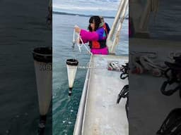 “everyone wants to be a marine biologist” #marinebiologist #marinebiology #holyairball  #dreamjob