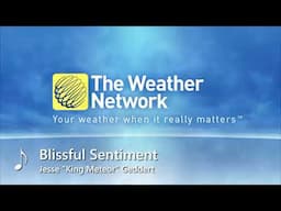 Blissful Sentiment ~ Classic Weather Forecast Music [Concept]
