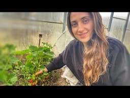 Spend a Spring Day in the Garden with Me