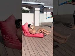 Funny Compilation! 6 😂 #shorts #reels