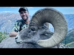 KING OF THE CURLS!!! Idaho Bighorn Sheep Hunt - Stuck N The Rut 204