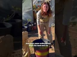 How to make your own potting mix