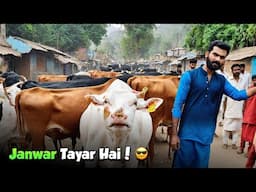 Gaye Dekho Gali Gali! 😆🐄 Muhallay Ki Local Mandi Ka Haal 🔥| Karachi Lifestyle