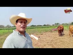 Ganadería en el Rancho Las Perlas: Tradición y Pasión por el Campo
