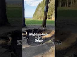 101st Airborne Foxholes in Bastogne