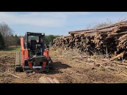 WHOLE TREE REMOVAL IN SPRUCE/RED PINE PLANTATION #kubota #martatch #baumalight