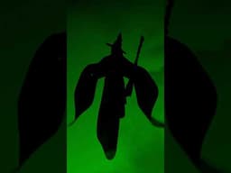 If I was Elphaba…