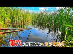 世界よ、これが印旛沼のヘラブナ釣りだ。