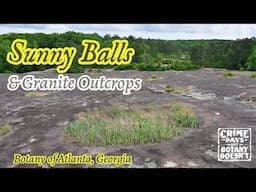 Atlanta, Georgia : Sunny Balls and Granite Outcrops