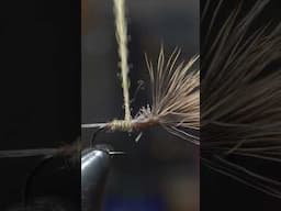 Comparadun Fly - #shorts  #fishing  #flytying