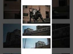 Daily photo walks with the Nikon Zf #nikon #nikonzf