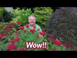 See It, Love It, Take It — Cool Plants and Freebies for Garden Guests!